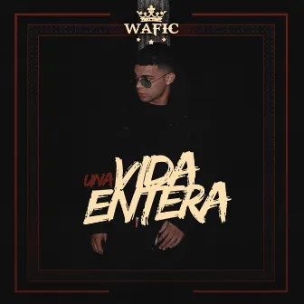 Vida Entera by Wafic