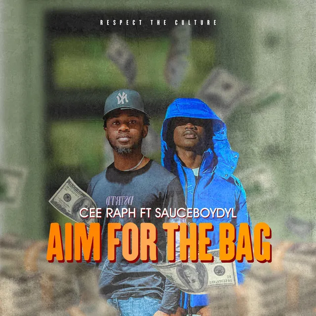 Aim For The Bag