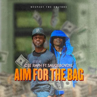 Aim For The Bag by Unknown Artist