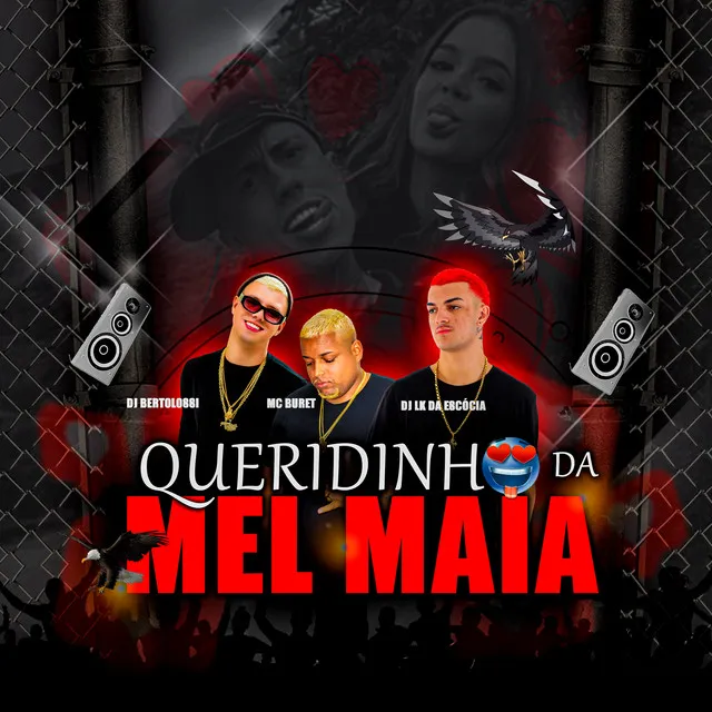 Queridinho da Mel Maia