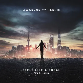 Feels Like a Dream by Awakend