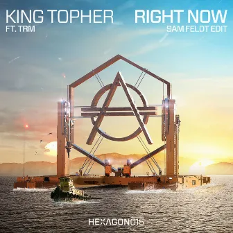 Right Now (feat. TRM) [Sam Feldt Radio Edit] by King Topher