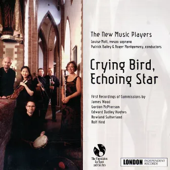 Crying Bird, Echoing Star by New Music Players