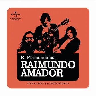 Flamenco es... Raimundo Amador by Raimundo Amador