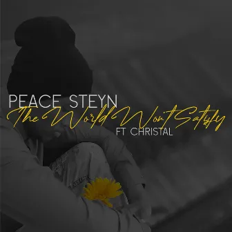 The World Won't Satisfy by Peace Steyn