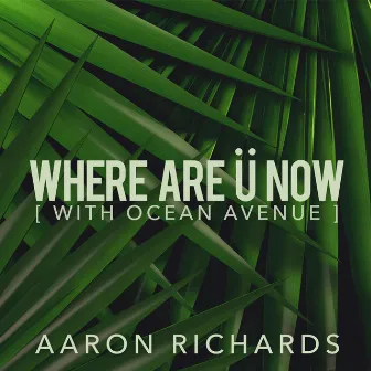 Where Are Ü Now (feat. Ocean Avenue) by Aaron Richards