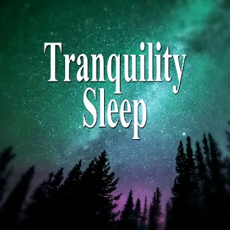 Tranquility Sleep - Relaxing Songs, Healing Music, Soothing Music, Music for Sleep, Nature Sounds, Stress Relief, Relax by Better Sleep Oasis