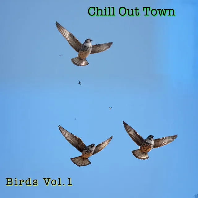 Birds Vol.1