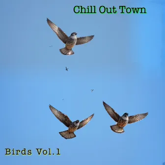 Birds Vol.1 by Chill Out Town