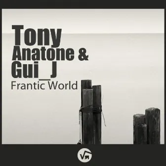 Frantic World by Tony Anatone