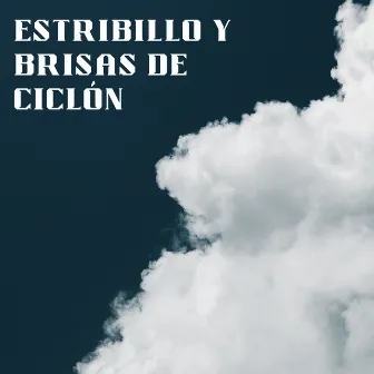 Estribillo Y Brisas De Ciclón by Perra total relajarse