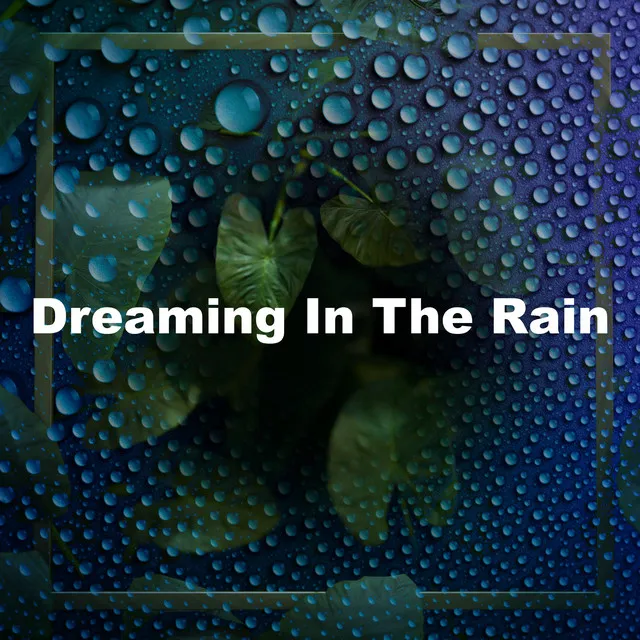 Dreaming In The Rain