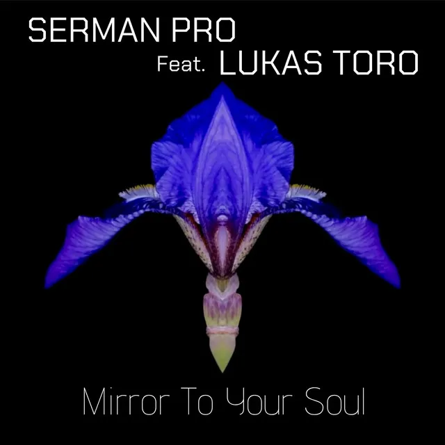 Mirror To Your Soul