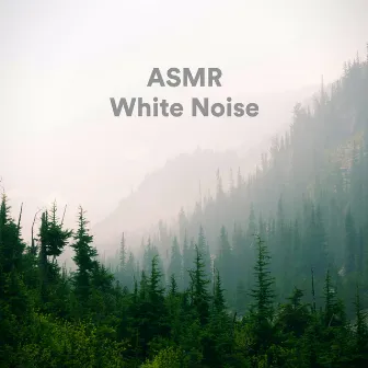 ASMR White Noise by White Noise Looped