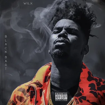 Black Bart by WILX