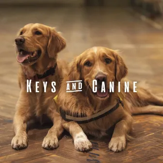 Keys & Canine: Piano Melodies for Dogs by Kid Mini