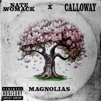 Magnolias by Calloway