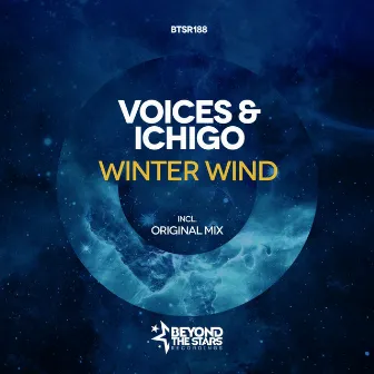 Winter Wind by Voices