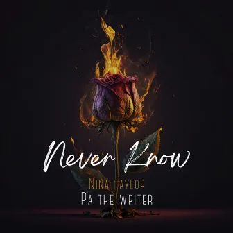 Never Know by Nina Taylor