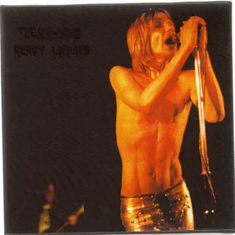 Heavy Liquid by The Stooges