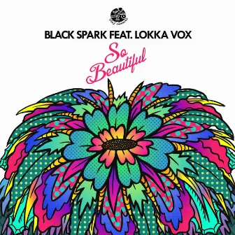 So Beautiful by Black Spark