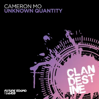 Unknown Quantity by Cameron Mo