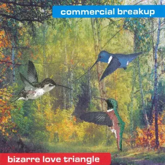 Bizarre Love Triangle by Commercial Breakup