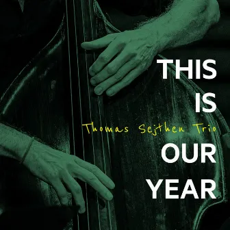 This Is Our Year by Thomas Sejthen Trio