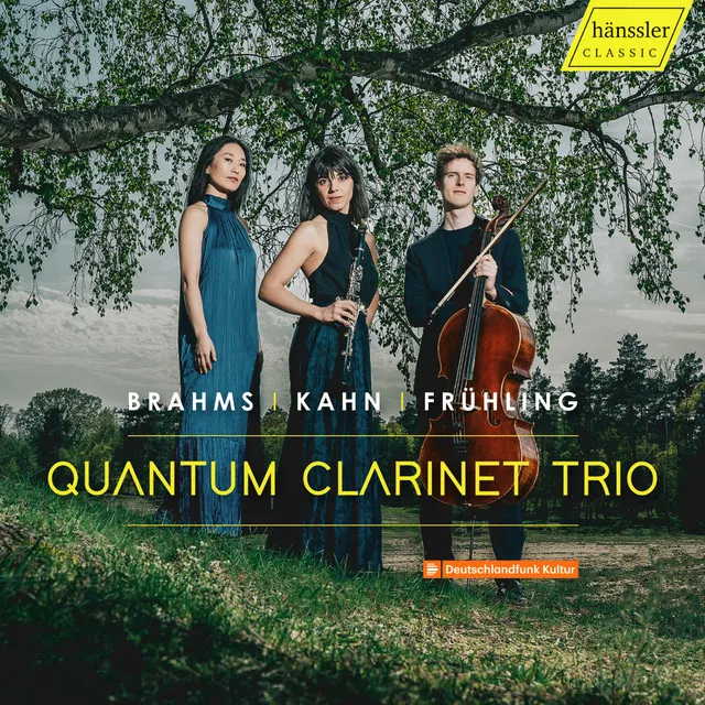 Clarinet Trio in A Minor, Op. 40: III. Andante