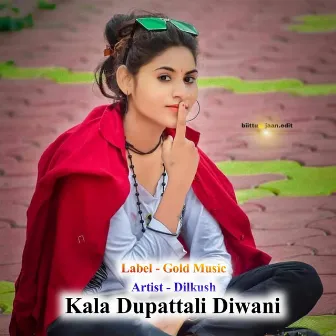 Kala Dupattali Diwani by 