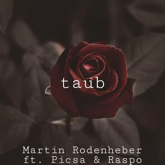 taub