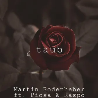 taub by Martin Rodenheber