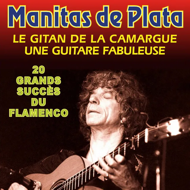 20 Grands Succes Du Flamenco