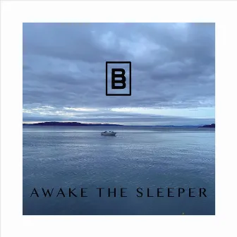 Awake the Sleeper by Brandon Bee