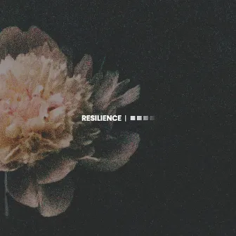 Resilience by VANNN.