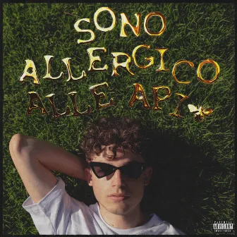 sono allergico alle api by Piccola kappa