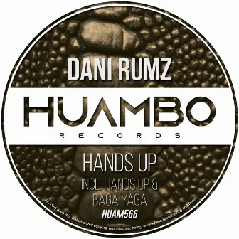 Hands Up by Dani Rumz