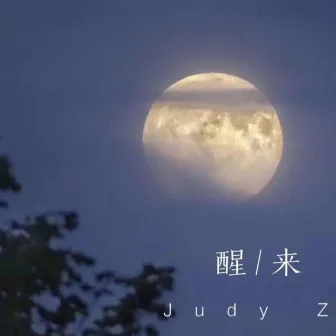 醒来 by Judy Z