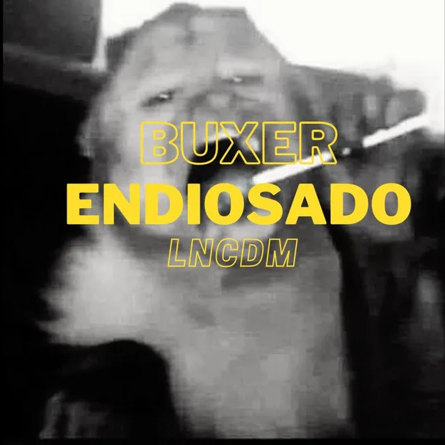 Endiosado