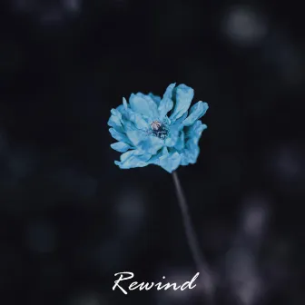 Rewind by Xans