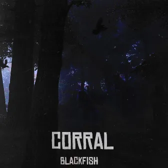 Corral by 