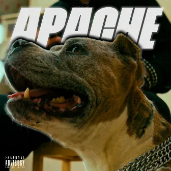 APACHE by Droom