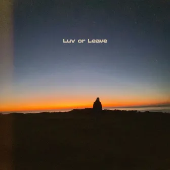 Luv or Leave by Tab