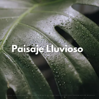 Paisaje Lluvioso Para El Enfoque: Sinfonía De La Naturaleza Para Una Concentración Mejorada by Música para Focus Vibes