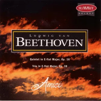 Beethoven by Amici Chamber Ensemble