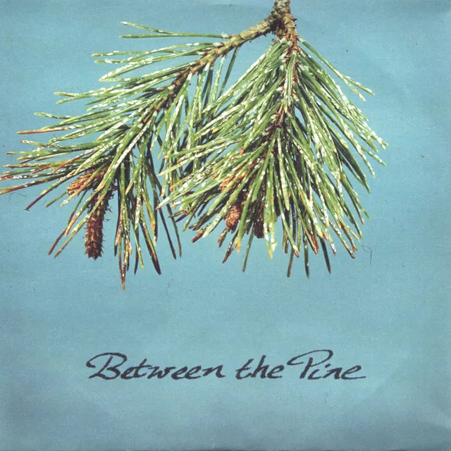 Between The Pine