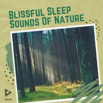 Blissful Sleep Sounds of Nature by #Sleep