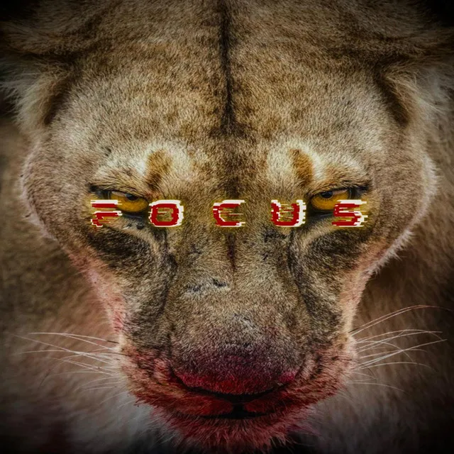 FOCUS