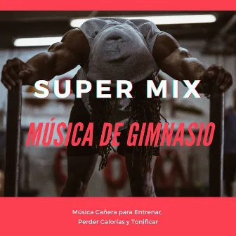 Super Mix Música de Gimnasio: Música Cañera para Entrenar, Perder Calorías y Tonificar by Unknown Artist