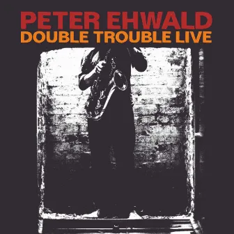 Double Trouble Live by Peter Ehwald